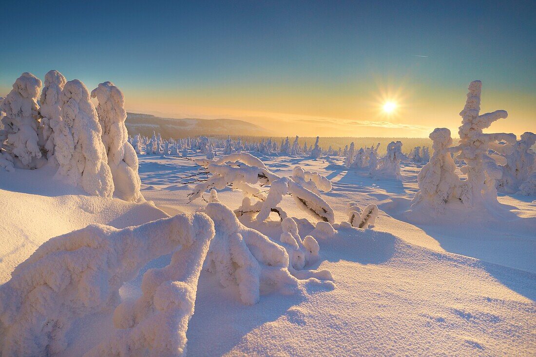 Szrenica in winter, Karkonosze National Park, Poland, Europe