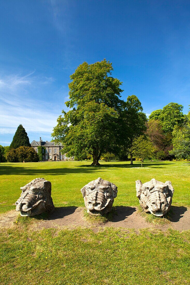 England  Northumberland, Wallington Hall  Carved stone dragon heads in the gardens of Wallington Hall, a National Trust property located in the north of England