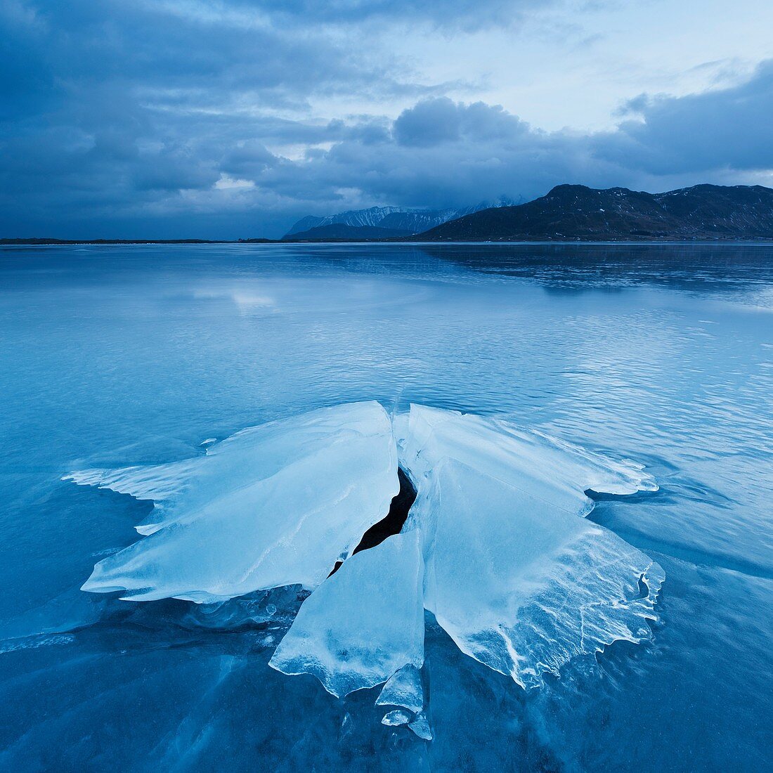 Ice formation of frozen coast of Ytterpollen, Lofoten Islands, Norway