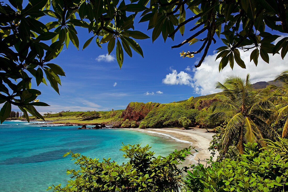 Hamao Beach in Hana, Maui, Hawaii is famous worldwide as a top rated beach