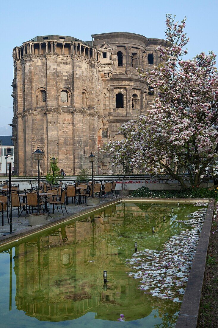Porta Nigra, World Heritage Site, with fountain and blooming magnolia, Trier, Germany