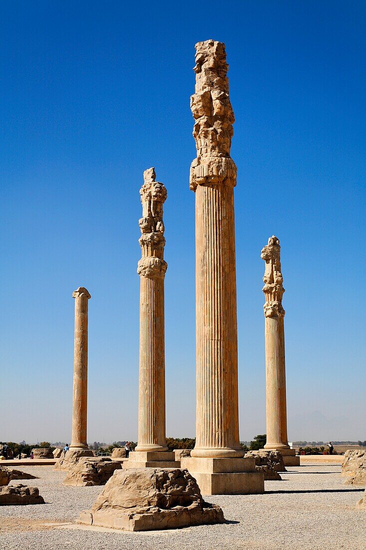 Standing columns, Persepolis, Iran