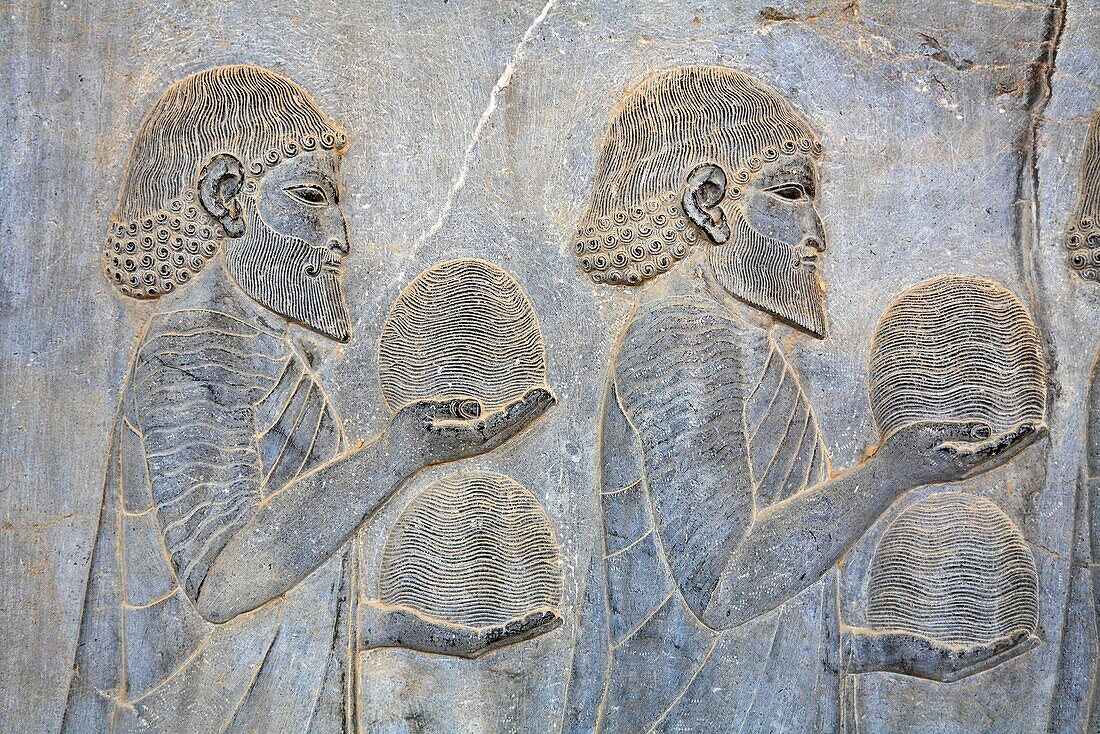 Bas reliefs showing envoys of the subject nations of Persia bringing gifts, Persepolis, Iran