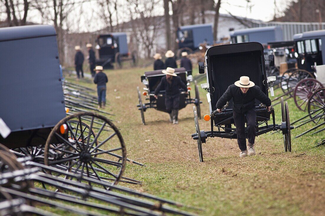 Amish men push a buggy home following the Annual Mud Sale to support the Fire Department in Gordonville, PA