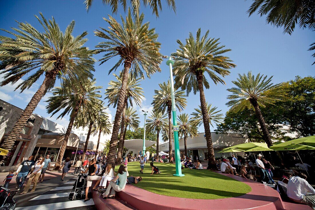 palm trees at Lincoln Road Mall, South Beach, Miami, Florida, USA