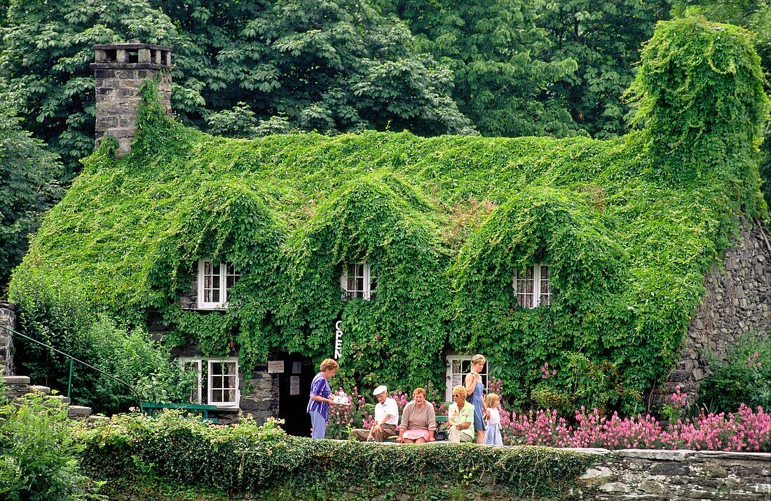 Ivy covered cottage house tearoom known as Ty Hwnt i´r Bont on the River Conwy near Llanrwst in Snowdonia, Gwynedd, north Wales