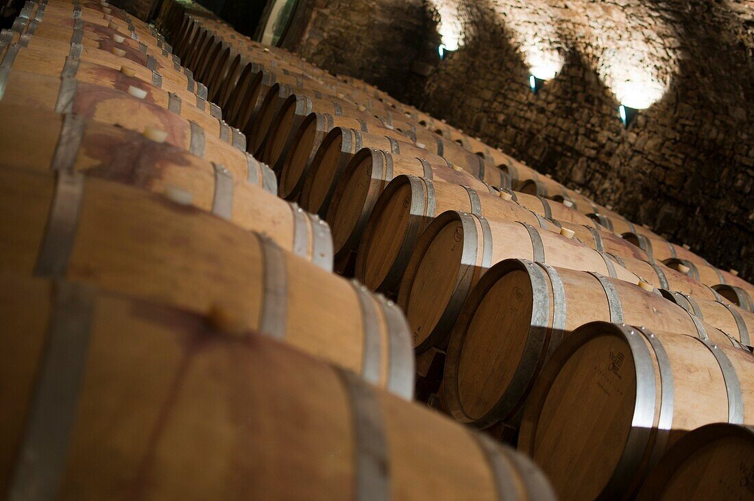 Italy, Friuli, Collio, Capriva, Spessa castle, wine cellar.