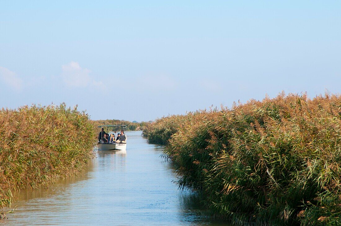 Italy, Veneto, Porto Tolle, Santa Giulia, Po di Gnocca, boat excursion.