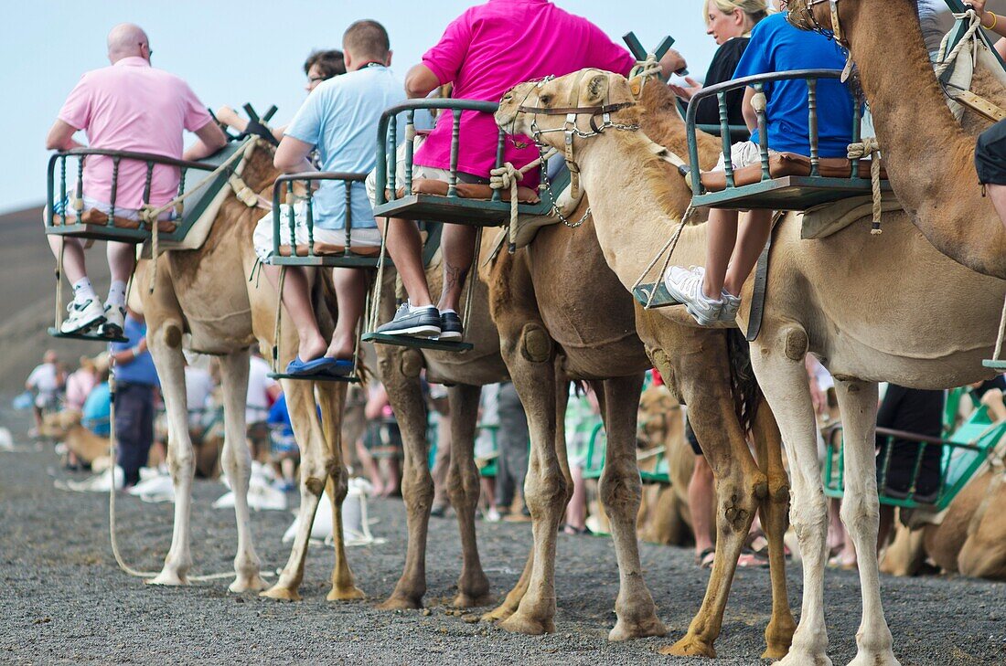 Tourist group at Timanfaya  Lanzarote, Canary Islands, Spain