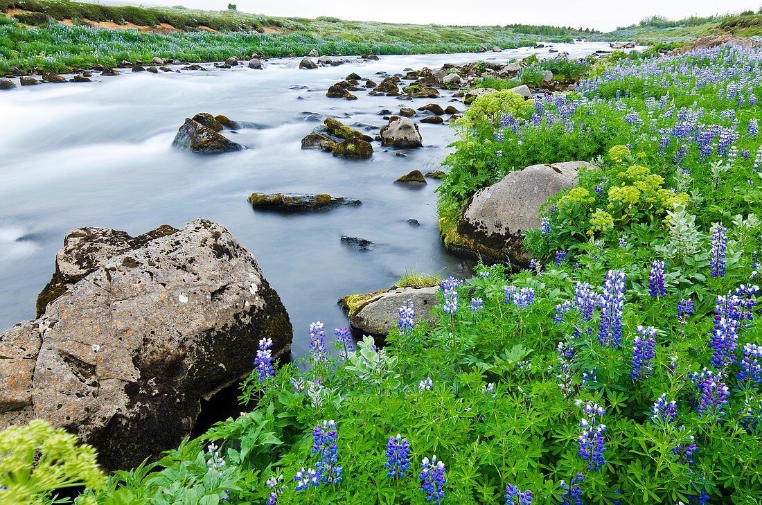 Beauty river at Gullfoss area  Iceland