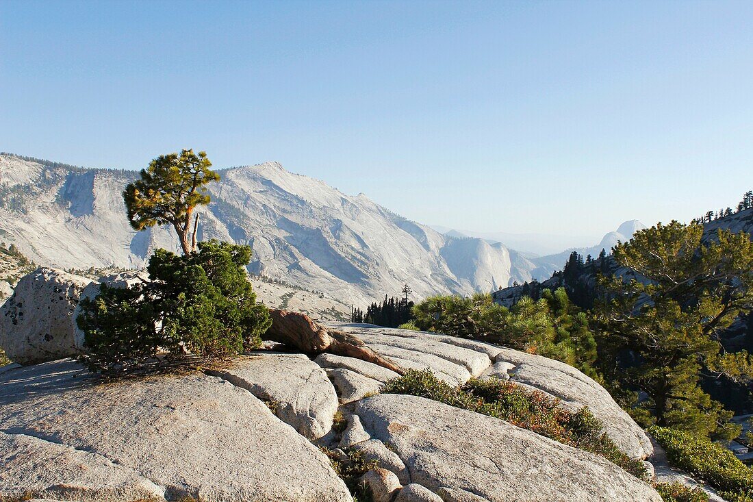 Olmsted Point, Yosemite National Park, California, Usa