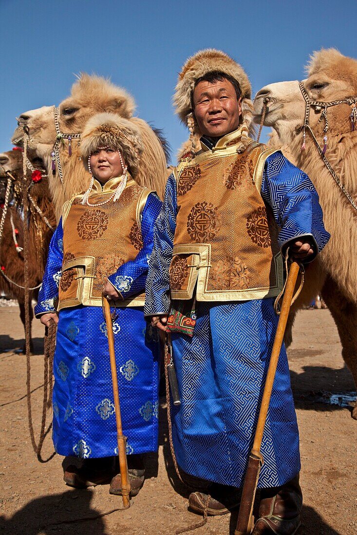 Bactrian camels, Grand Parade, ´ festival of a thousand camels´ Bulgan, winter in Gobi desert, Mongolia