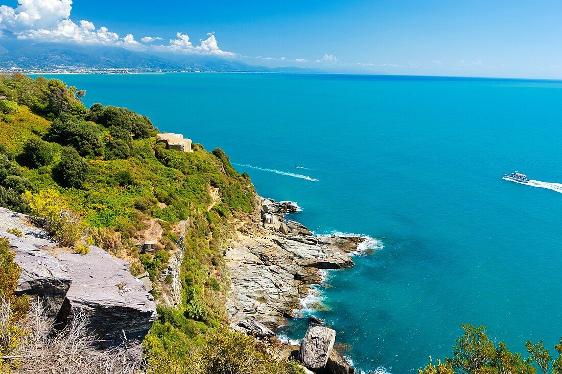 Parco Naturale Regionale di Montemarcello-Magra, Monte Marcello, Liguria, Italy, Europe