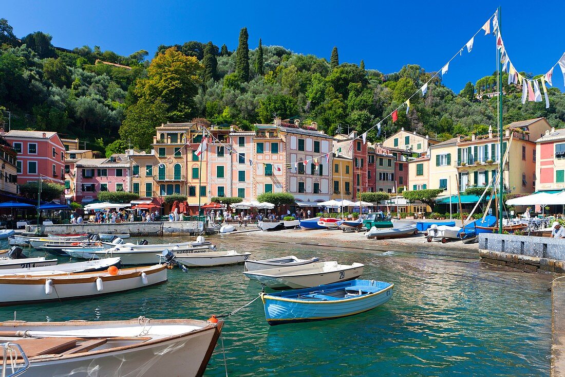 Portofino Harbour, Province of Genoa, Liguria, Italy, Europe