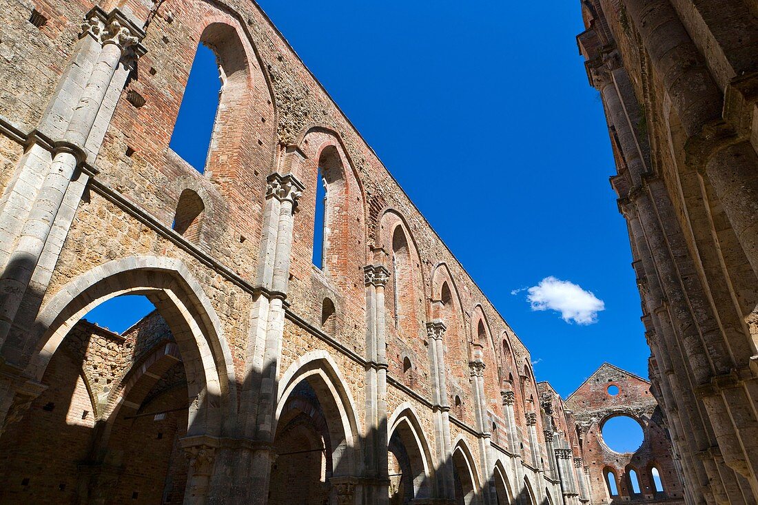 Ruins of the Cistercians abbey San Galgano, Chiusdino, Tuscany, Italy, Europe