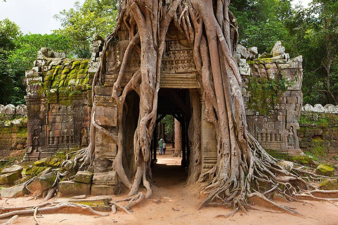 Ta Som, A small temple at Angkor, Cambodia, built at the end of the 12th century for King Jayavarman VII, It is located north east of Angkor Thom and just east of Neak Pean, The King dedicated the temple to his father Dharanindravarman II Paramanishkalapa