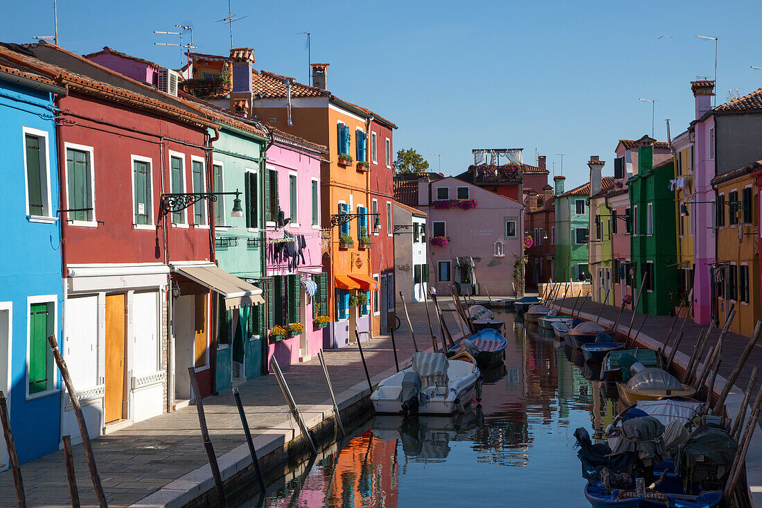 Colourful houses along the canal, Burano, Veneto, Italy, Europe