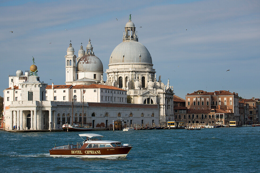 Water taxi and Chiesa di Santa Maria della Salute church, Venice, Veneto, Italy, Europe