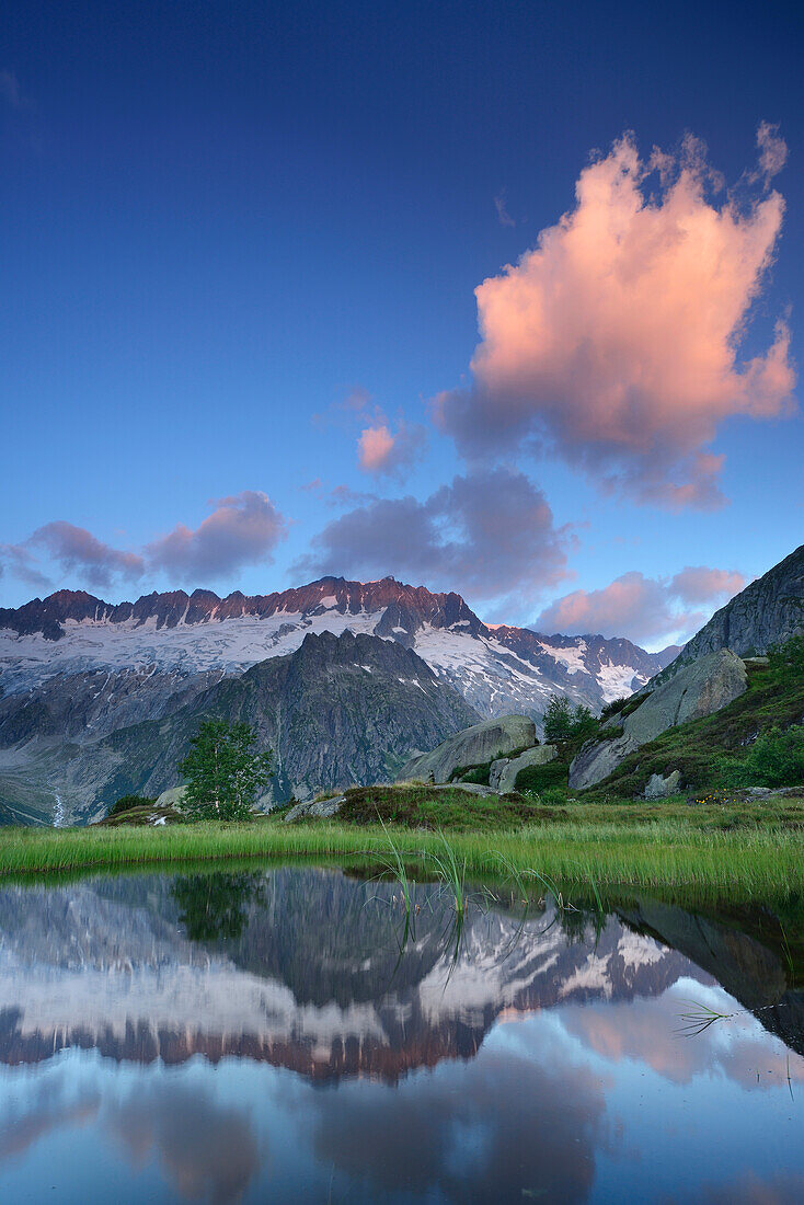 Dammastock reflecting in a mountain lake, Dammastock, Urner Alps, Uri, Switzerland