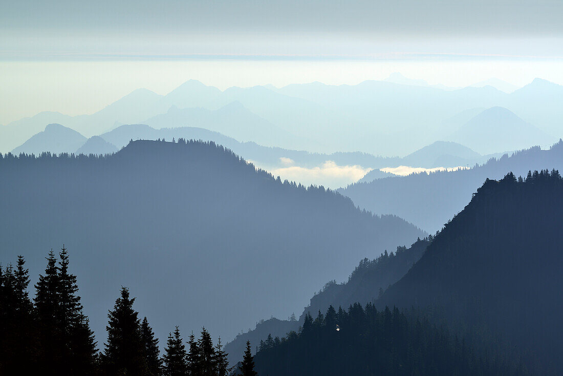 Chiemgau Alps from Rotwand, Rotwand, Spitzing area, Bavarian Alps, Upper Bavaria, Bavaria, Germany