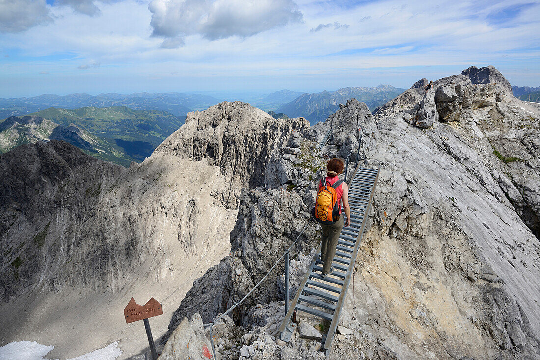 Frau geht auf Leiter am Klettersteig Heilbronner Weg, Heilbronner Weg, Allgäuer Alpen, Oberallgäu, Allgäu, Schwaben, Bayern, Deutschland