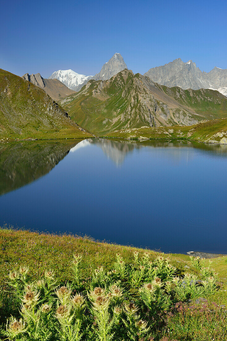 Mont-Blanc-Gruppe mit Mont Blanc und Grandes Jorasses spiegelt sich in Bergsee, Walliser Alpen, Aosta-Tal, Aostatal, Italien