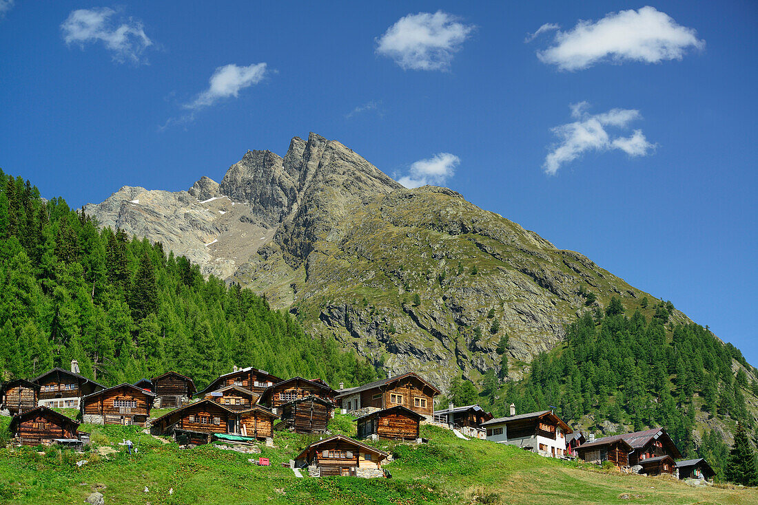 Almsiedlung im Lötschental, Berner Alpen, Wallis, UNESCO Welterbe Schweizer Alpen Jungfrau-Aletsch, Schweiz