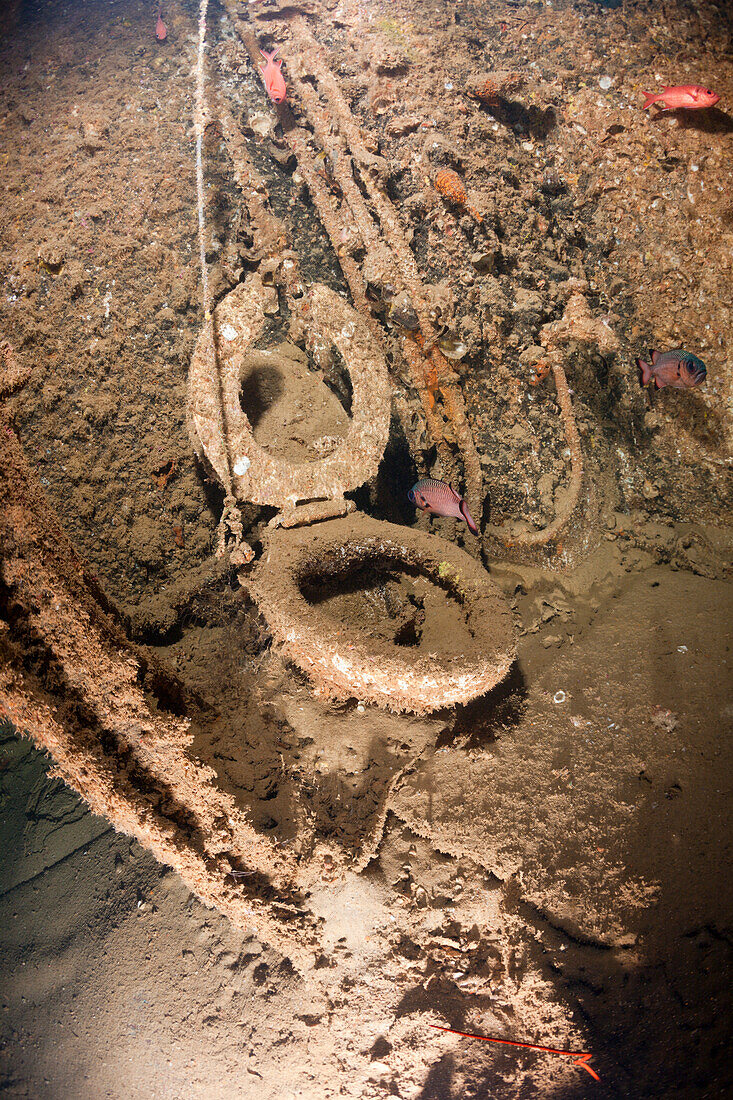 Toilet inside Maldives Victory Wreck, North Male Atoll, Maldives