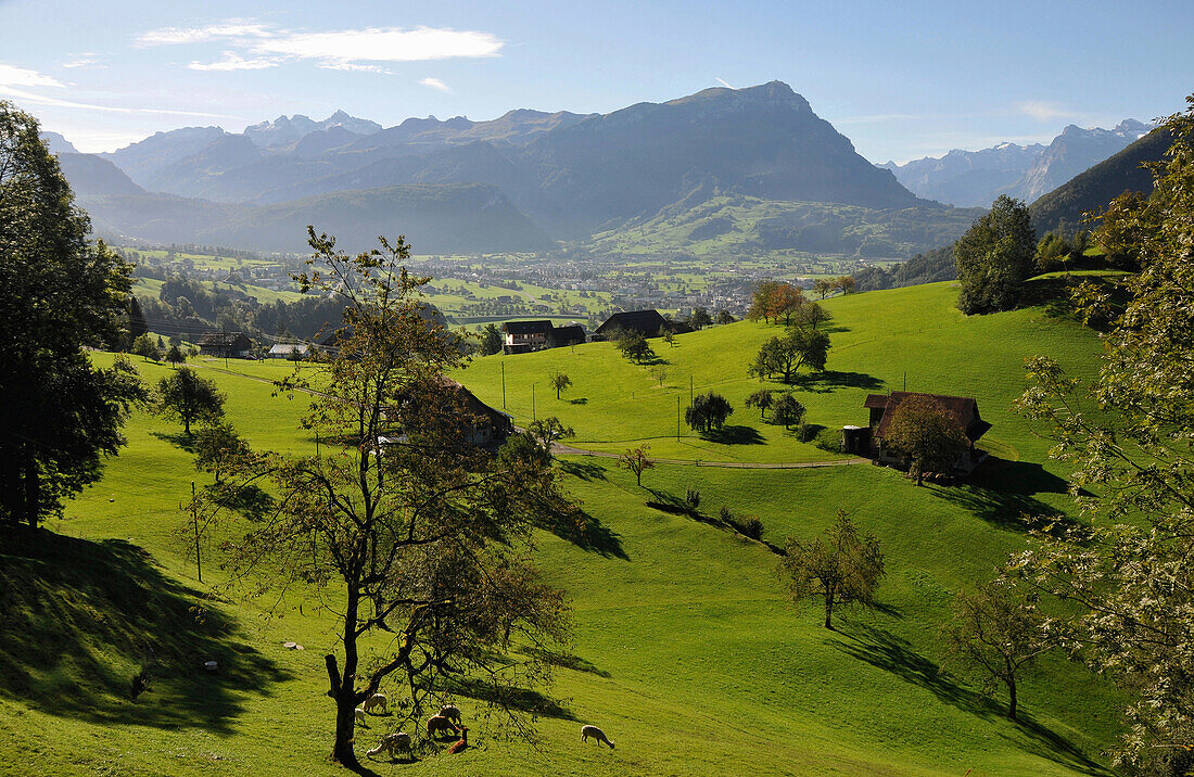 Blick über Almwiese auf Schwyz von Westen, Kanton Schwyz, Zentralschweiz, Schweiz, Europa