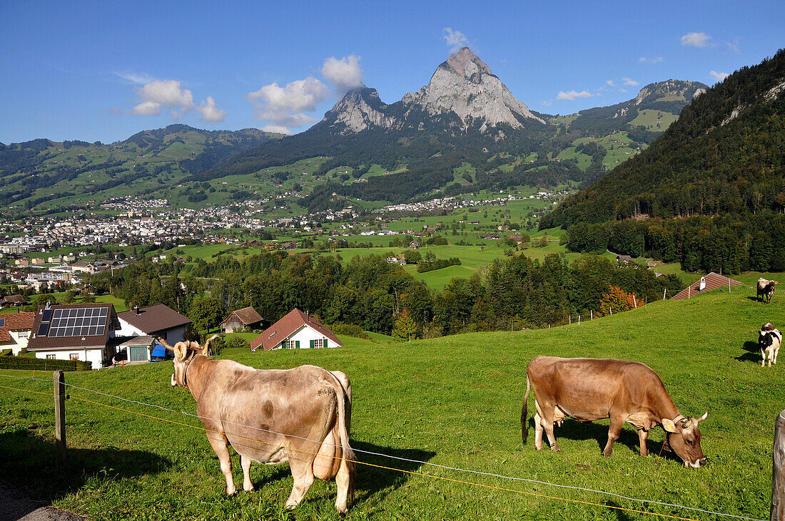 Blick auf die Gemeinde Schwyz von Süden, Kanton Schwyz, Zentralschweiz, Schweiz, Europa