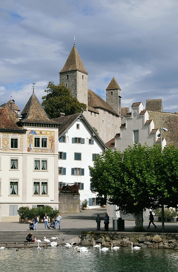 Blick auf Häuser und Kirche am Zürichsee, Rapperswil, Schweiz, Europa