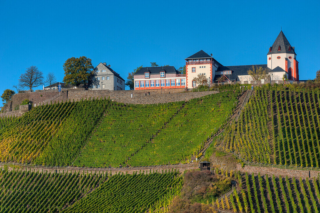 Blick auf die Marienburg, Pünderich, Mosel, Rheinland-Pfalz, Deutschland