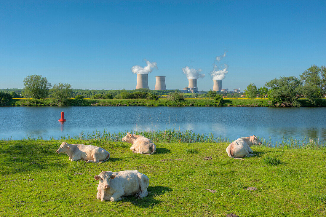 Blick auf das Kernkraftwerk Cattenom mit Mosel, Thionville, Lothringen, Frankreich