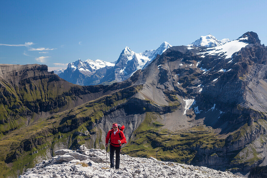 A man hiking on the ridge between Schwarzhorn and Bundstock high above Kiental, view to Wetterhorn, Eiger, Moench, Jungfrau, Bernese Oberland, Canton of Bern, Switzerland