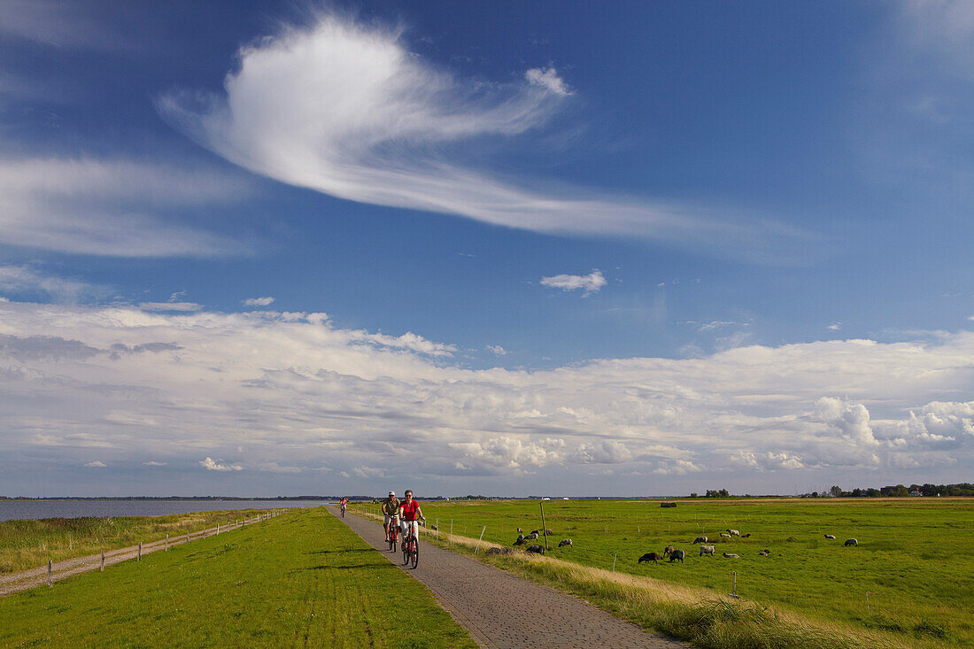 Cirrus clouds above the dike between Vitte and Kloster, Hiddensee island, baltic coast, Mecklenburg Western Pomerania, Germany, Europe