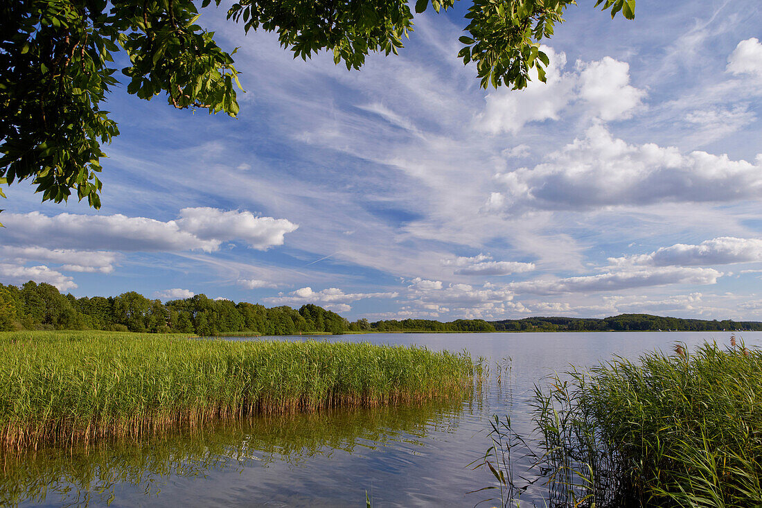 Lake Krakower See under clouded sky in summer, Mecklenburg Lake District, Mecklenburg Western Pomerania, Germany, Europe