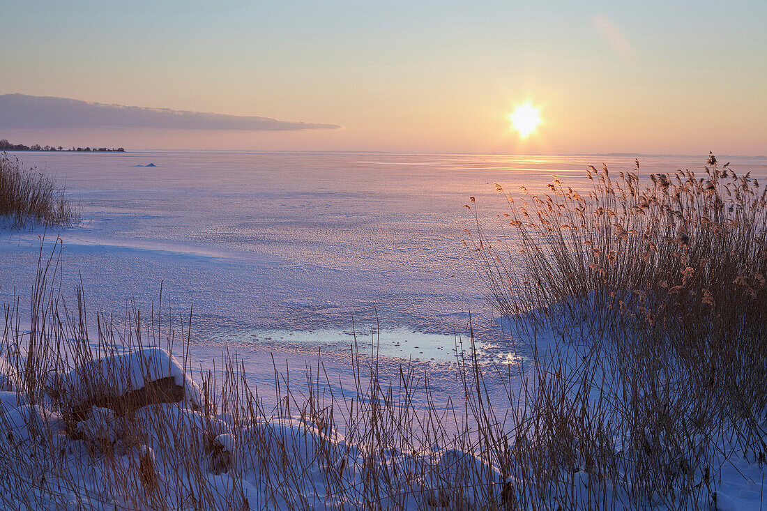 Sonnenuntergang am Rügischen Bodden im Winter, Ostseeküste, Insel Rügen, Mecklenburg Vorpommern, Deutschland, Europa