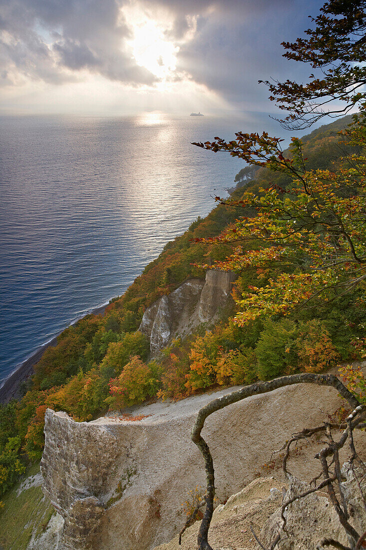 View from Victoria's View onto chalk cliffs in autumn, Jasmund National Park, Baltic coast, Ruegen island, Mecklenburg Western Pomerania, Germany, Europe