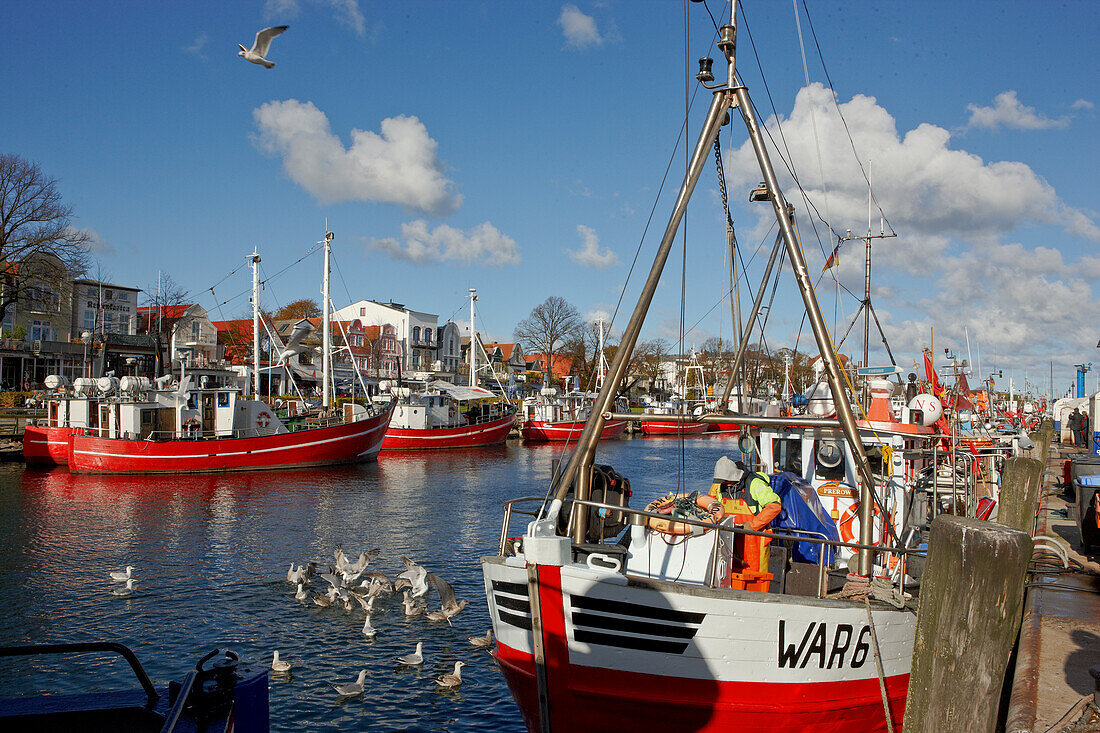 Fishing boats on the Alter Strom, Warnemuende, Rostock, Baltic coast, Mecklenburg Western Pomerania, Germany, Europe