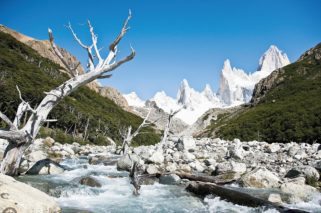 Wildbach am Fitz Roy Massiv, El Chalten, Patagonien, Argentinien