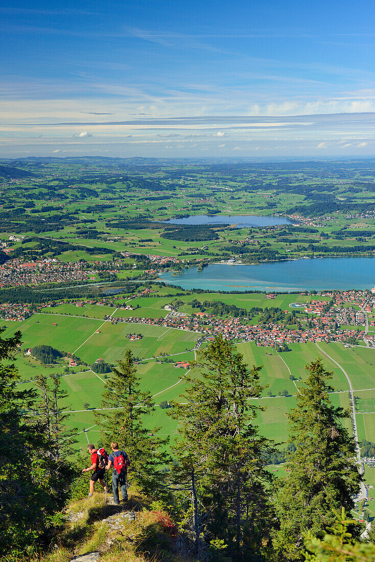 Two hikers descending from Tegelberg, view to Fuessen and lake Forggensee, Tegelberg, Ammergau range, Allgaeu, Swabia, Bavaria, Germany