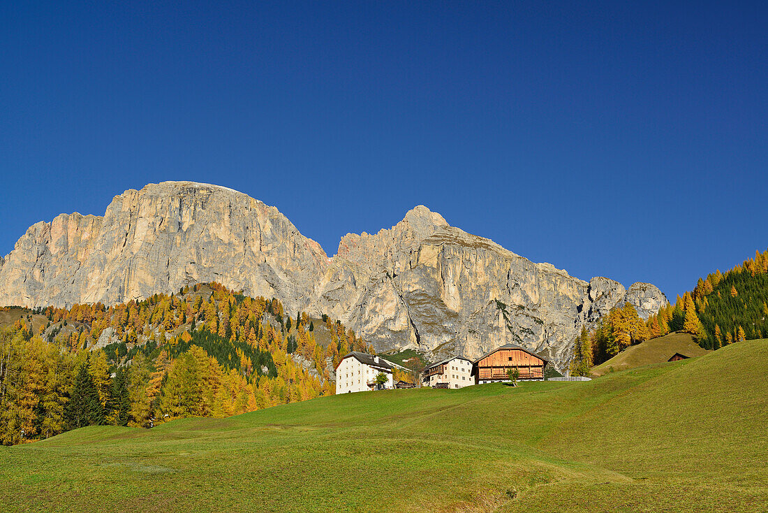 Farmhouse in front of Puez range, Dolomites, UNESCO World Heritage Site Dolomites, South Tyrol, Italy