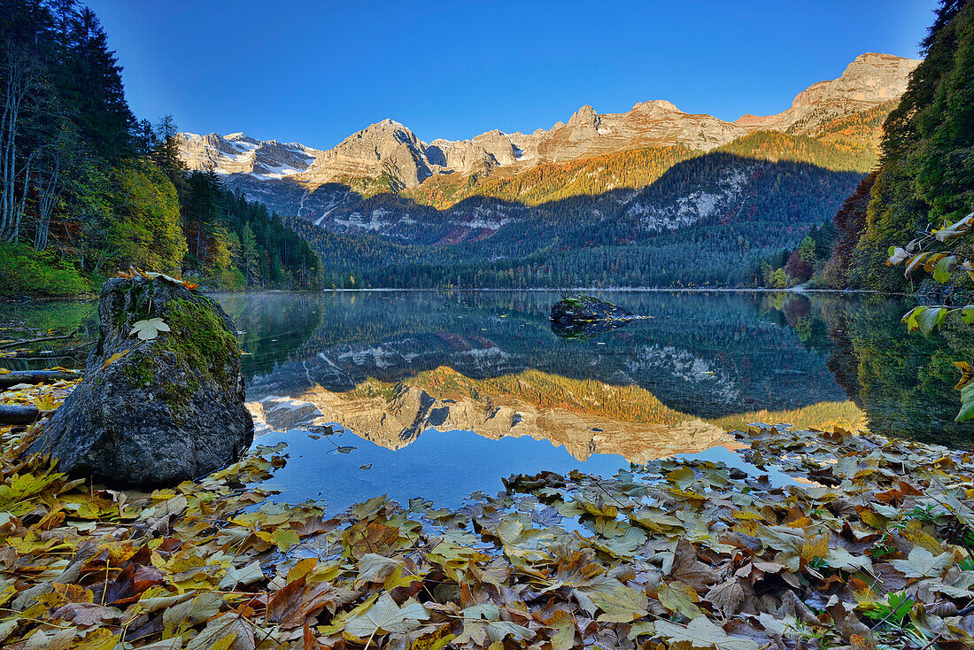 Brenta range reflecting in lake Lago Tovel, Lago Tovel, Brenta range, Dolomites, UNESCO World Heritage Site Dolomites, Trentino, Italy