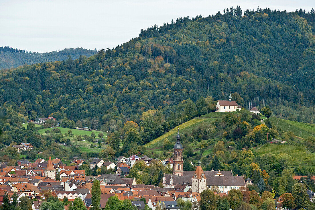 Blick auf die Stadt Gengenbach, Schwarzwald, Baden-Württemberg, Deutschland, Europa