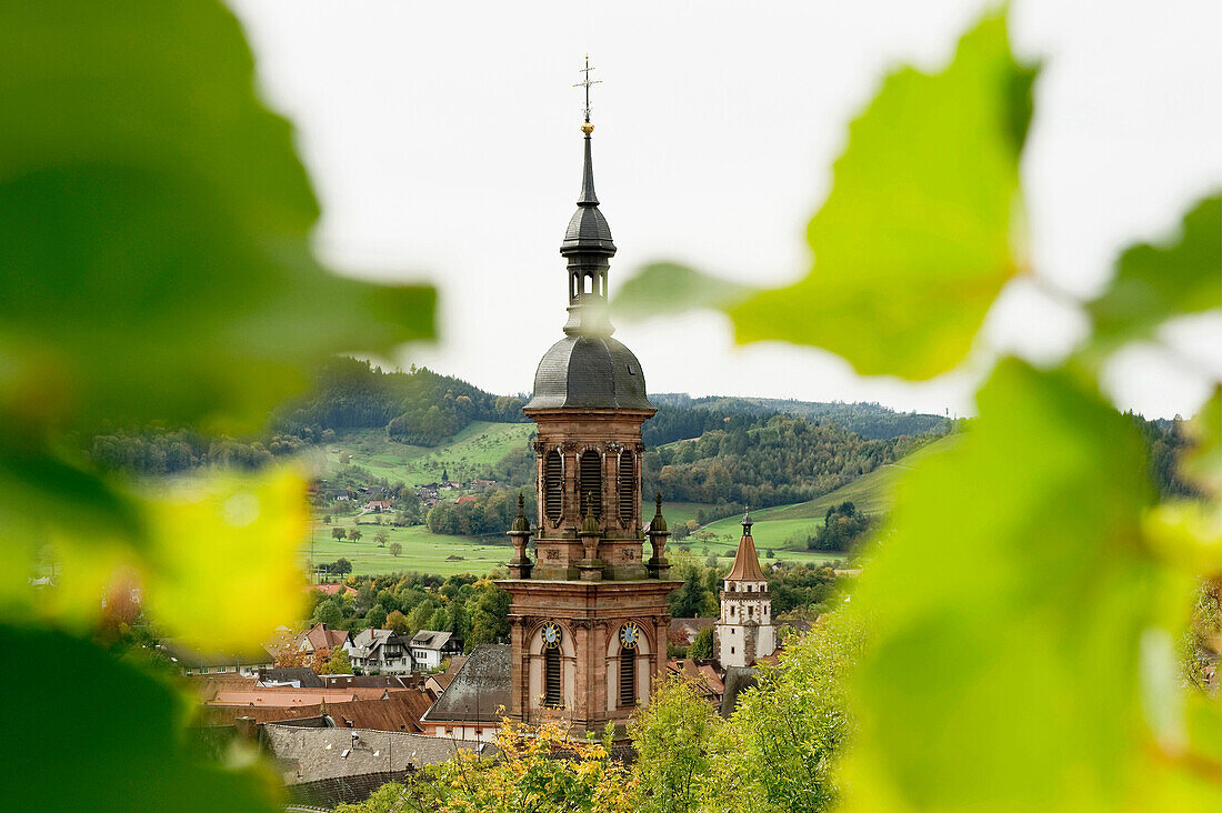 View of the steeple of the Stadtkirche, Gengenbach, Black Forest, Baden-Wuerttemberg, Germany, Europe