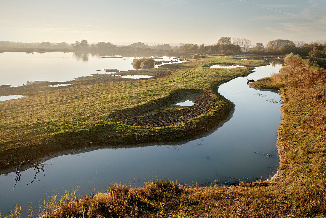 Naturschutzgebiet Plessenteich bei Neu-Ulm, See und blauer Himmel, Schwaben, Bayern, Deutschland