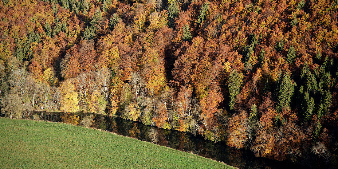 Danube river at autumn, upper Donautal around Beuron, Landkreis Sigmaringen, Swabian Alb, Baden-Wuerttemberg, Germany