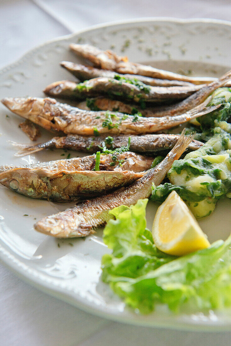 Grilled sardines with salad and lemon, Rovinj, Istria, Croatia