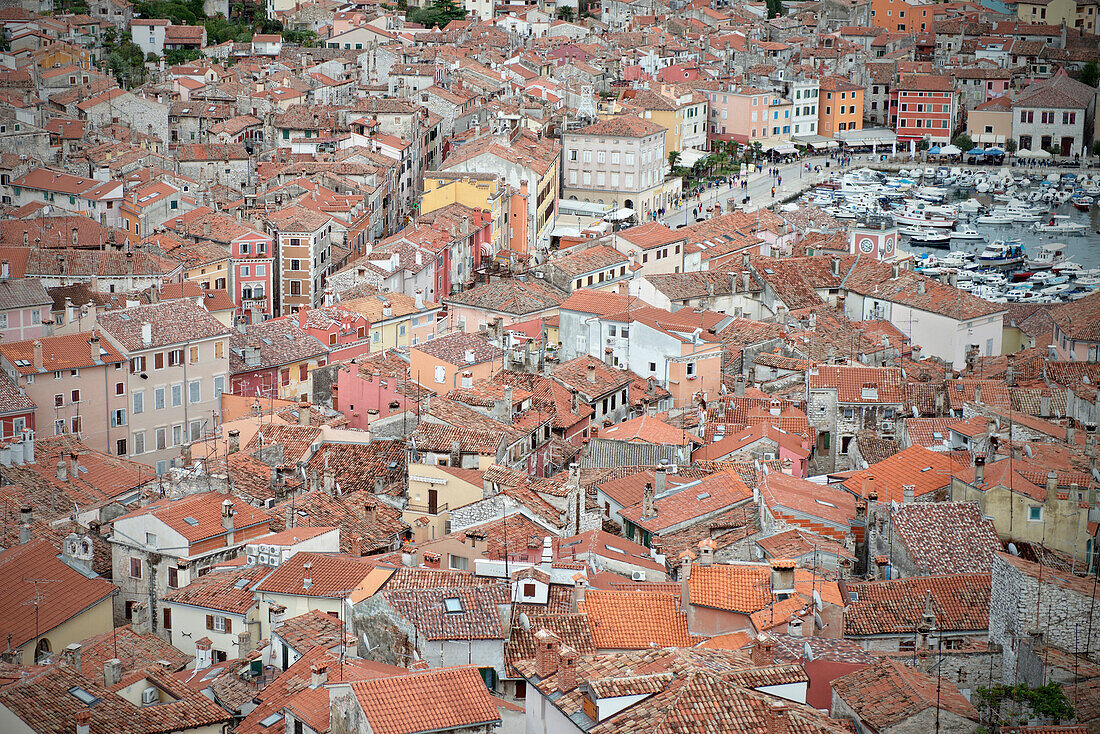 View at harbour of Rovinj, red roofs, Istria, Croatia