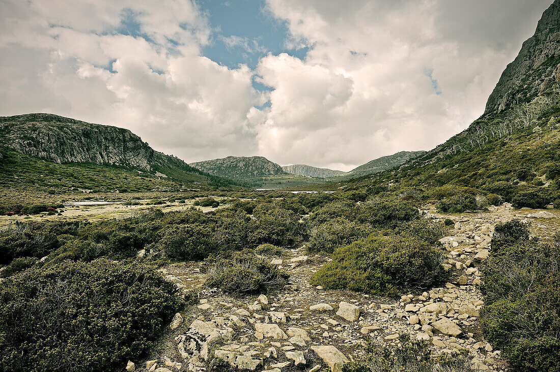 Trail through high plateau of Walls of Jerusalem National Park, Tasmania, Australia